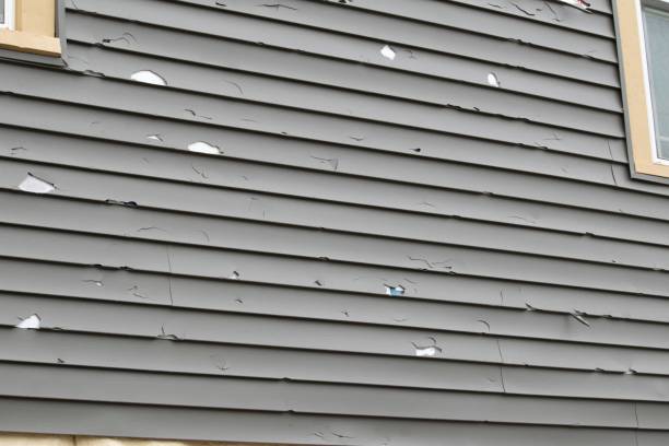 Best Same-Day Junk Removal Services  in Salix, PA