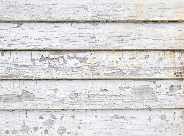 Best Hoarding Cleanup  in Salix, PA